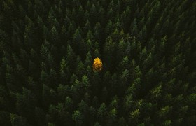 六和合彩网站真的能改变你的生活吗？快来探究其中的秘密！