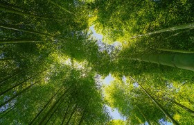 你还在错过上游棋牌游戏大厅的精彩吗？快来体验前所未有的游戏乐趣！