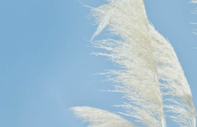 澳门在线博彩：未来能否超越传统赌场，成为新兴娱乐风潮的领跑者？